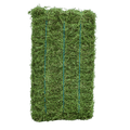 American alfalfa - Jet